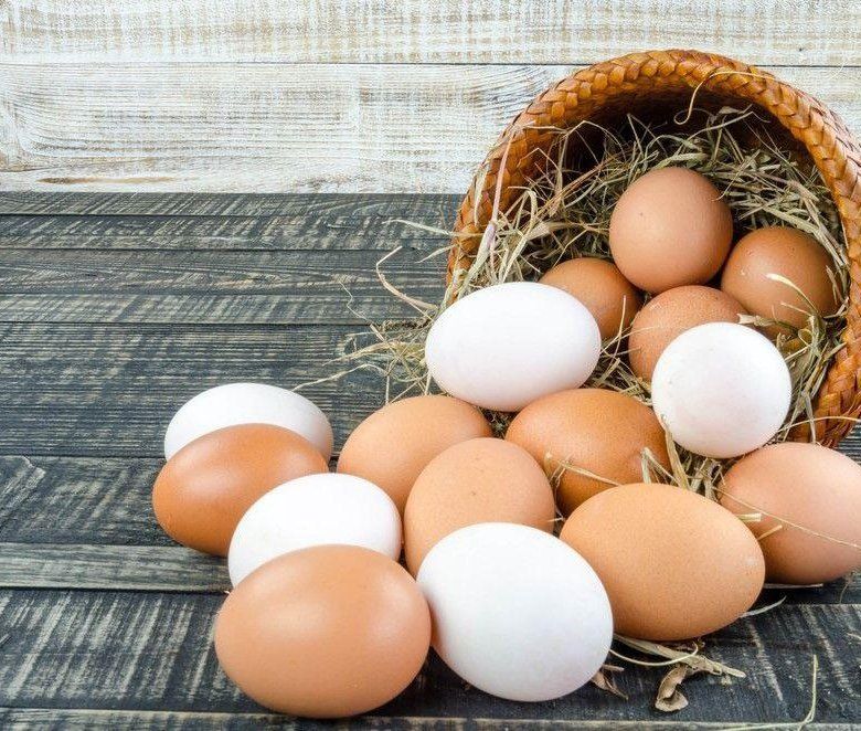 ���� �� ���� ������: ����� ��� �������