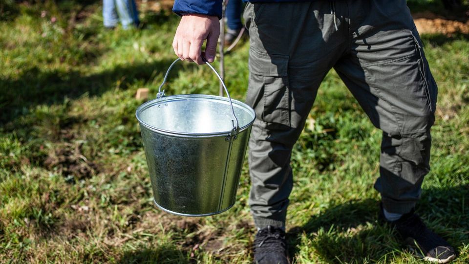 ��� ��� ������� ����� � �����, ���� ���������� �����: ����������� ������� ����