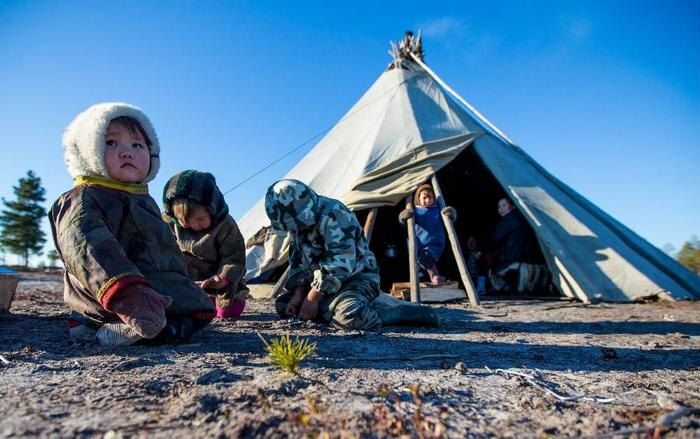 Новый закон для кочевников: Путин упрощает жизнь коренным народам