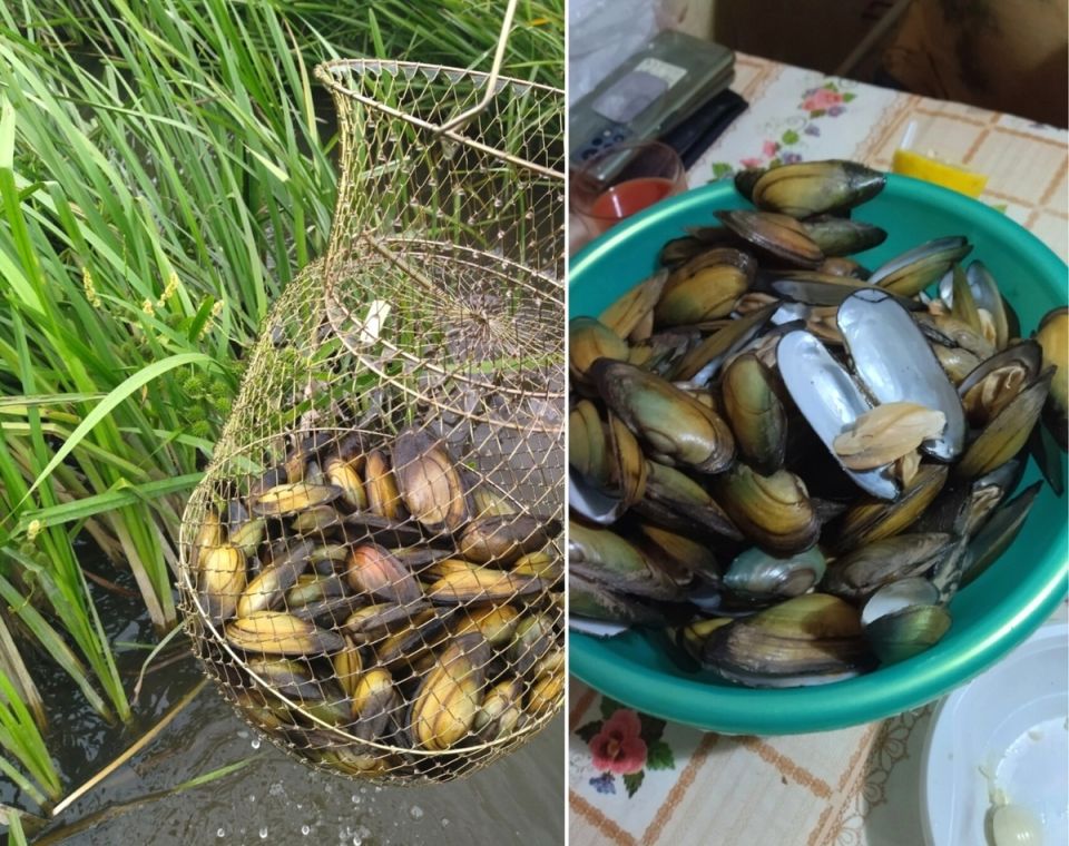 ���������� ���� �� ����: ����� �� ���� ������������ �����?