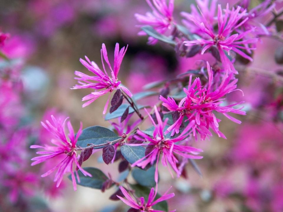 �����������: �������� ������ ��� ������ ����