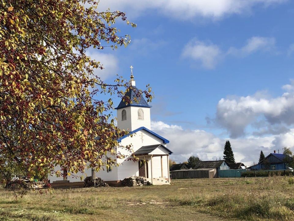Агроботанические термины на букву «И»: от инвазивных растений до индетерминантных сортов