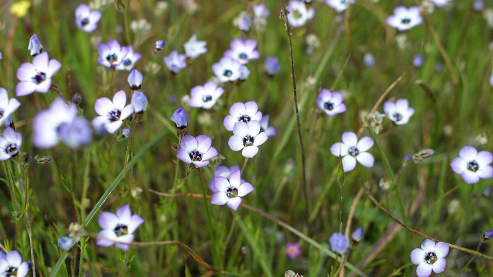 ��� ��������� �������� � ����� ����: ������� ����� �����