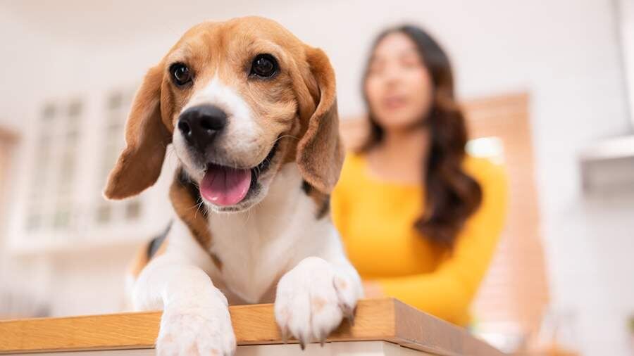 ������ � ����������� �������� ��������: ��� ����� �����