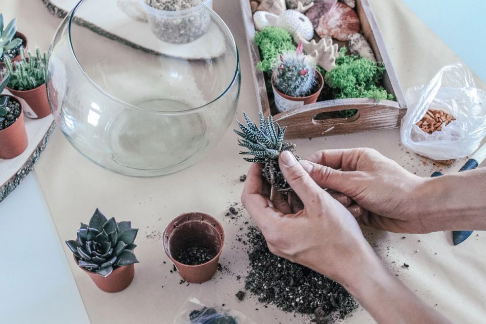 ����� ���������� ������������ ��������� � ������������?