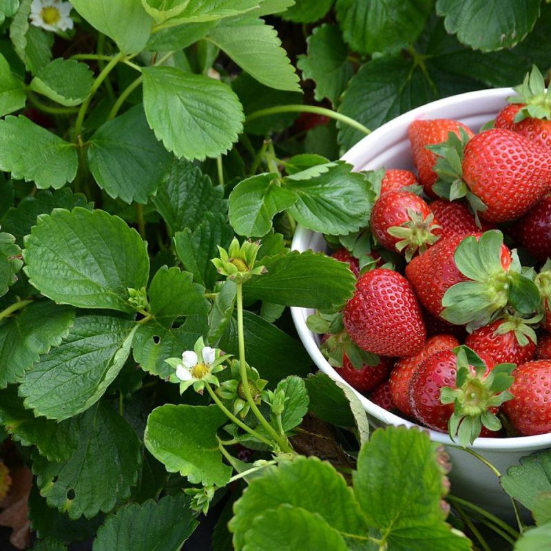 ��� ��������� �������� ��� �������� ����������� ����� � ������