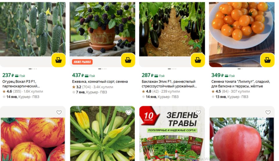 ������ ������� �� �����: ��� ����� ���������� ������ ��� ������