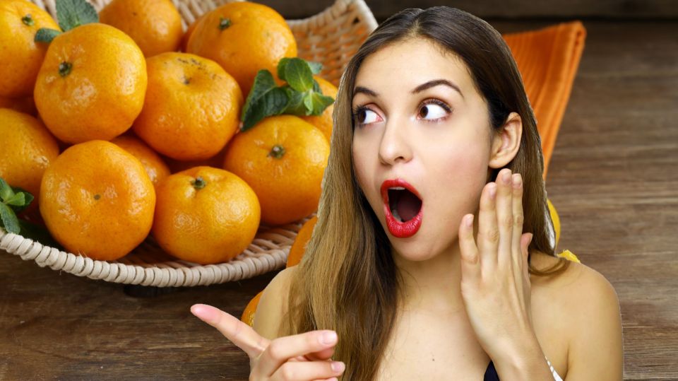 �������� �����������: � ����������� ��������� ��������� � ������ � ���������� �������