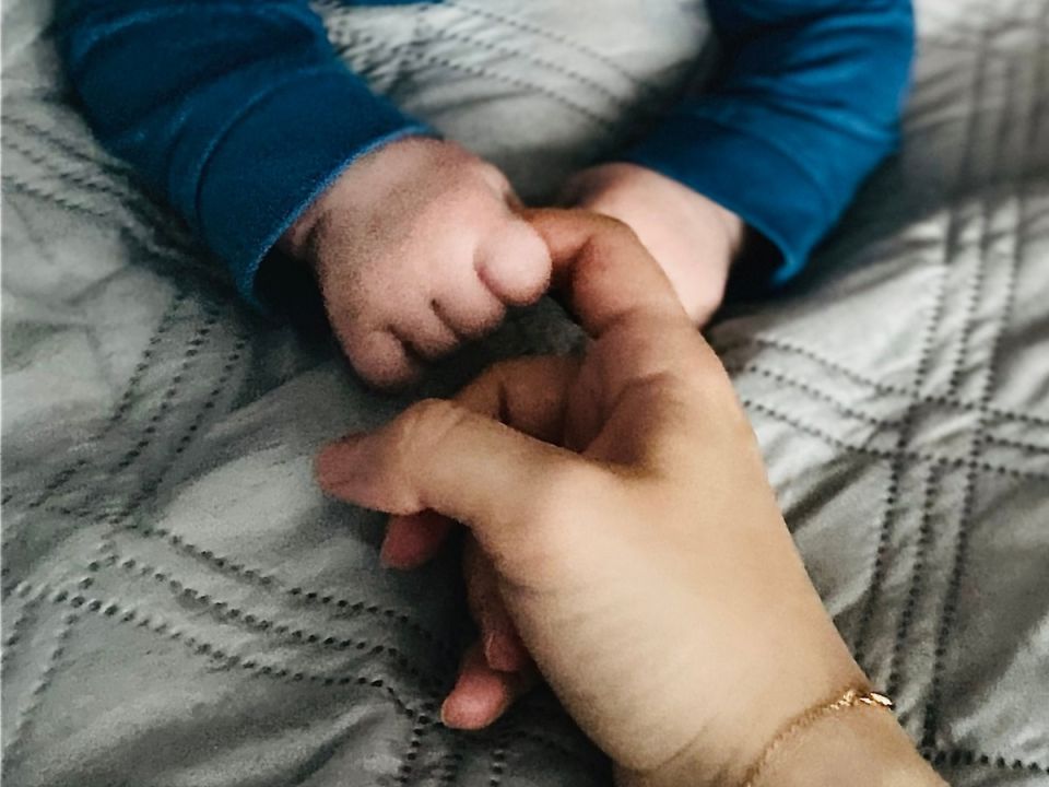 ����� ������� ����� ����� ��� ���������: ��� ���������� � ������ 2026 ����?