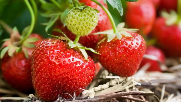 ��� ��������� ������������� ��������: ������ �� � ����� ��������