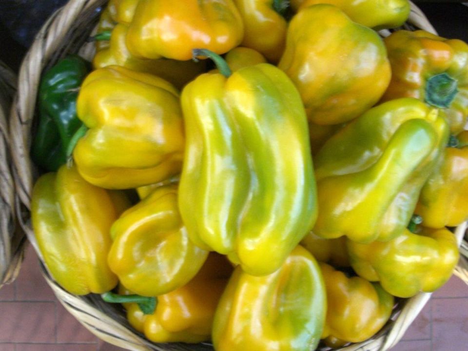 ������ ����� �� ������������: ������� ������� � �������