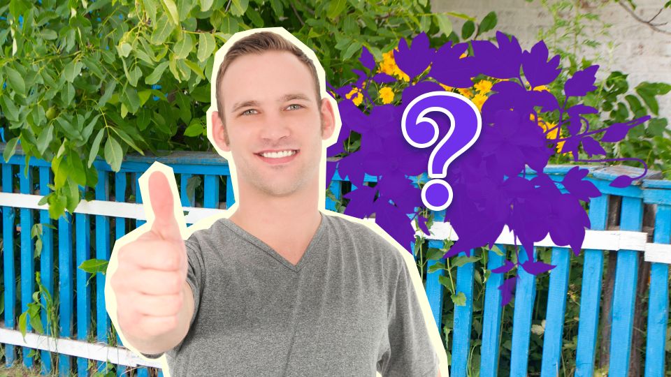 ���� �������� ����������� ������ ������������ �����: ��� ��������� ��� ��������