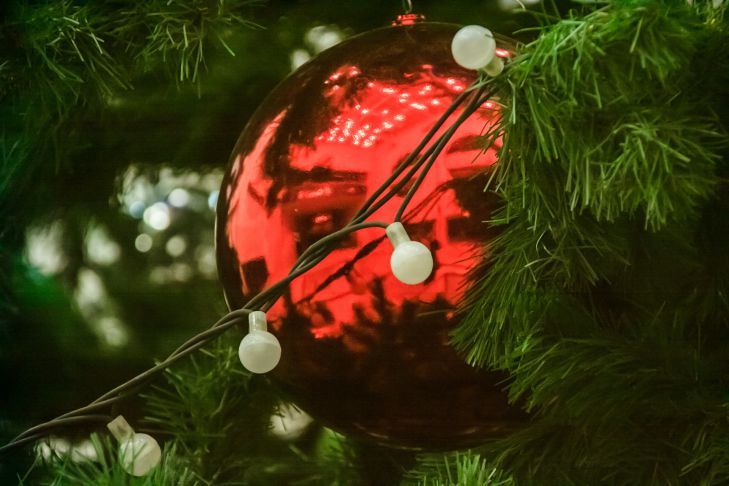 ����� ���� ����� ������� �� ����� ���