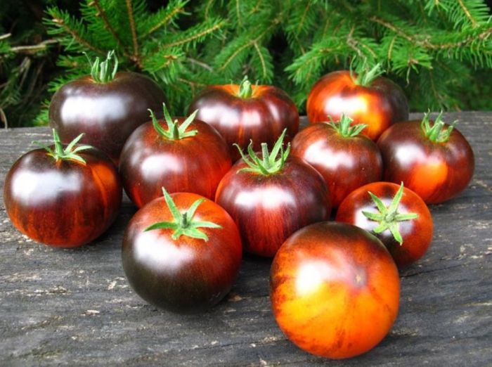 ����� ����� �������: ��� ��������� ������������ ������� ������