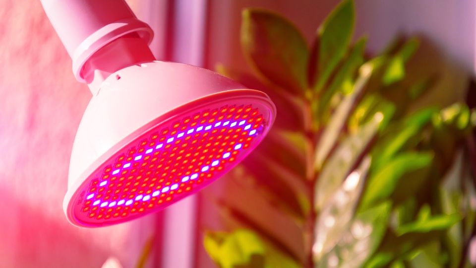 �������� ��� �����: �� ���� �������� ��������� �������� ���� ��� �����