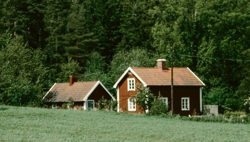 ����������� ����������: ��� ������, ���� ��� ������� �������� ��� �������� �������