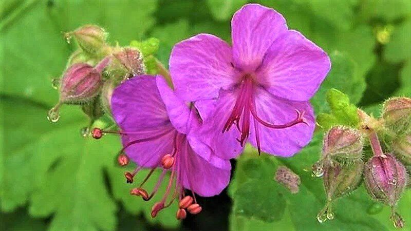 �������� ������������ ��� �������� ����