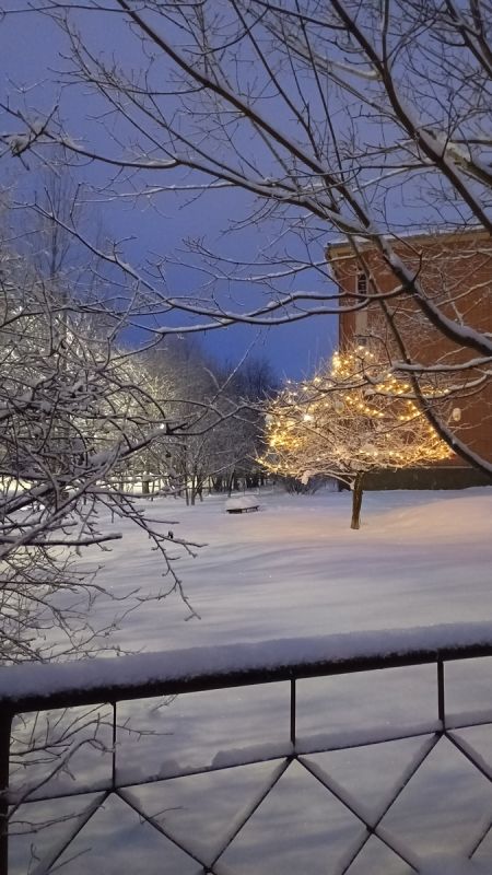 ����� �� ������: ������� ������� � ������� ������ �������������