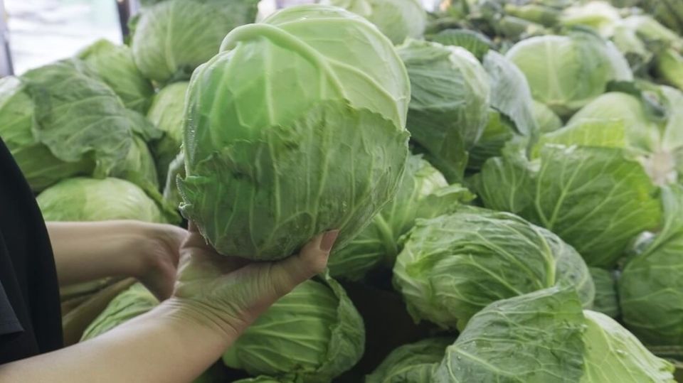 ������� ������� �������� �������