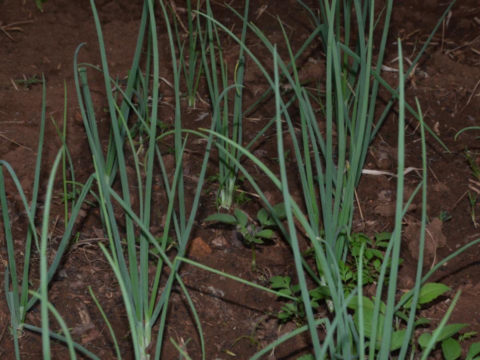 ���-�����: ������� �������� ����� � ������ �� ����������