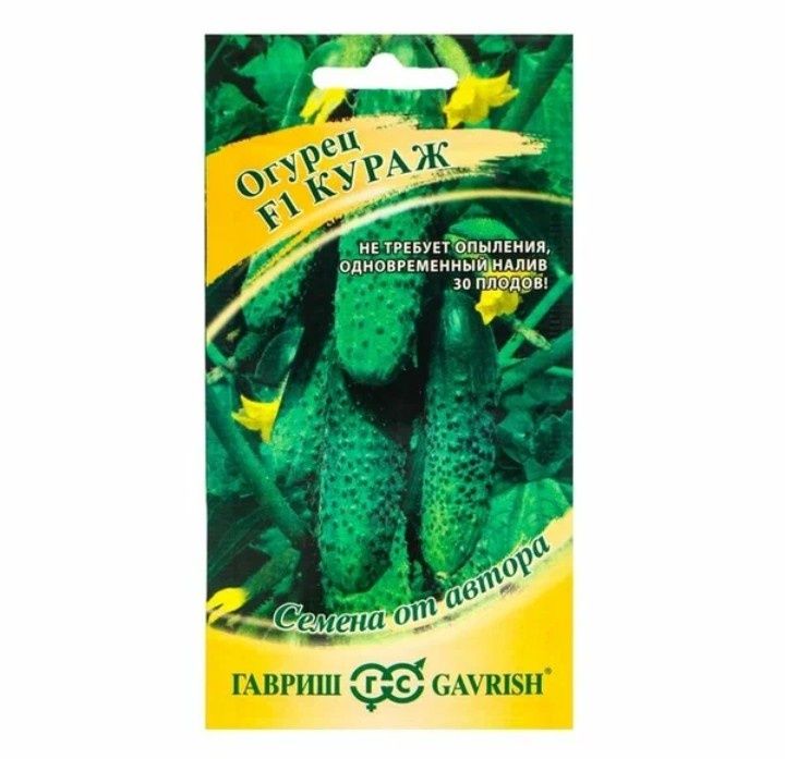 ������ ������ F1: ��� �������� �������� ������������ ������