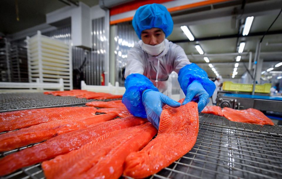 ���������� ������� ���� ��� ���������: �������� ������� � ������������ �����