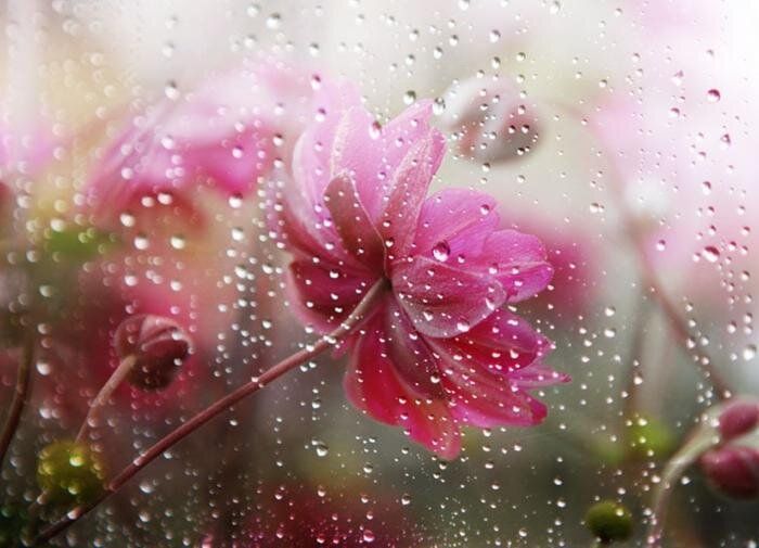 ����� �����: �����, ������� � �������