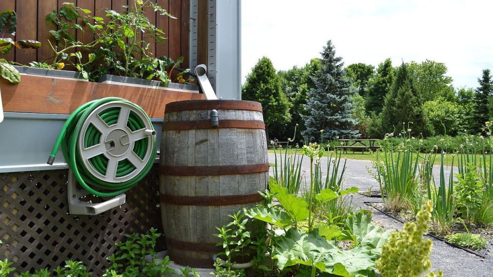 ��������� ����: ������� � ���������� ��� ����