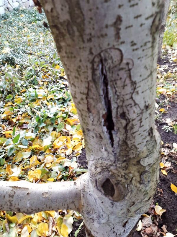 ����� ������� ���� �������� �� ���� � ����������?