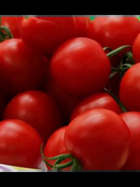 ��� ��������� ������� ������ �����-�����: ������� ����������� �����