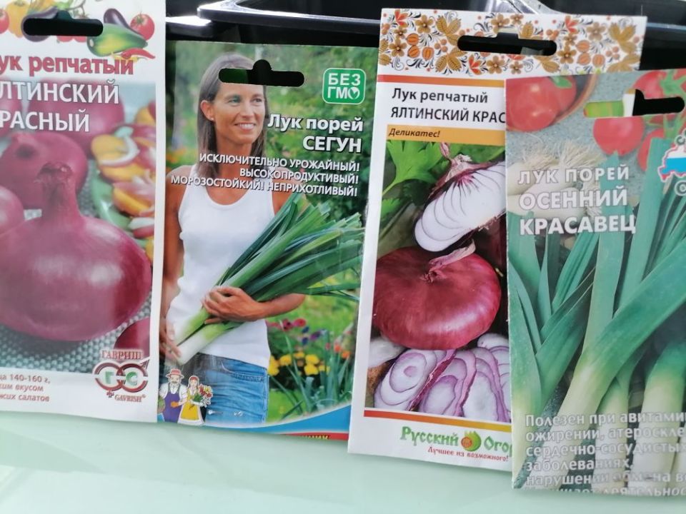 ��� �������� ��� �� ������� � �������� ���������: 6 ������� �����