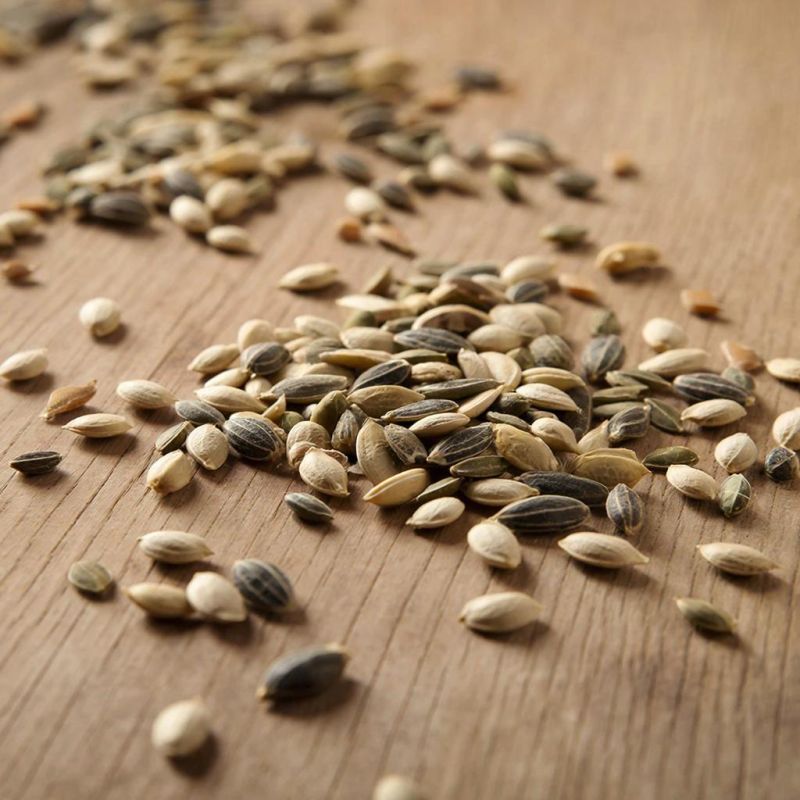 ������ ��� ����������� �����: ��� ����� �������� ��� ������