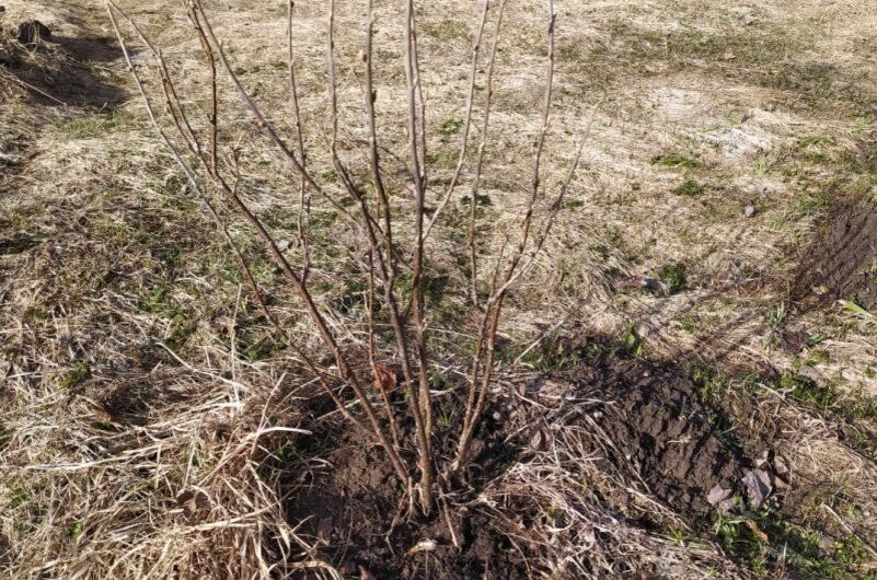 ������� ��������� ����� �� ���������� ������