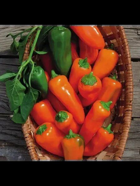 ����� ������� ����: ��� ���� ��������� ����-���� ����� ����������� ��� ��� � ����?