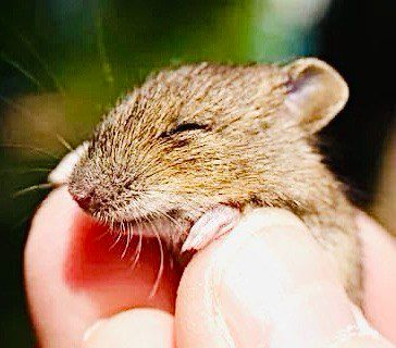 ��� �������� ���������� �� �������� �� ����: ������� �������