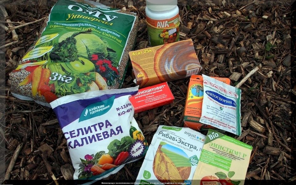 ������� ������ ��������� ��������� ��������: ��� ������������ ������� ��������� � ��������� ������