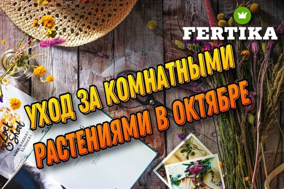 ��� ��������� �� ���������� ������� � �������