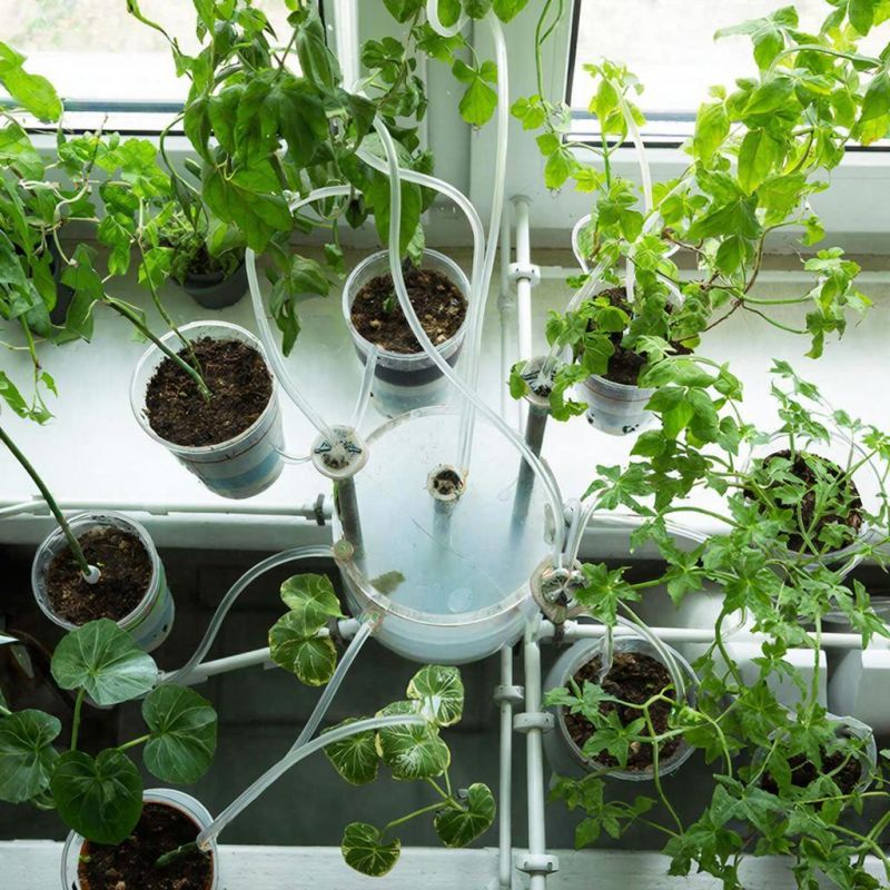 ������� ��������� ����� ��� ��������� ��������