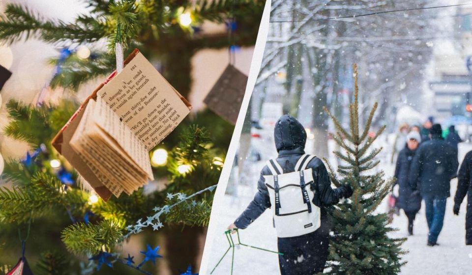 ����� ������� ����: ������� � ������ ��� ������������ �������