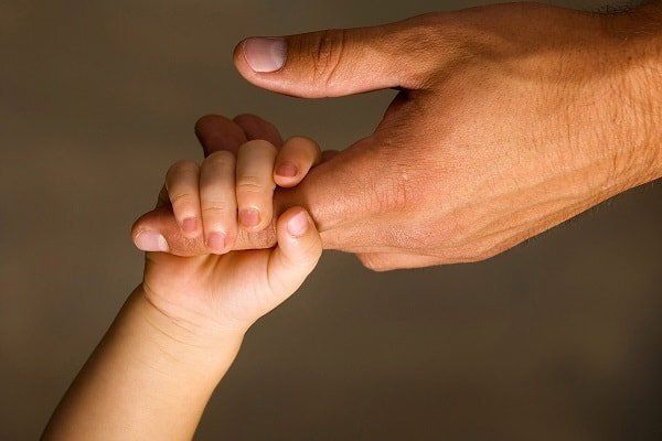 ��������� ��������� �����: ������� ������ � ���������