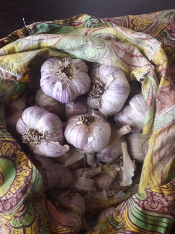 ��������� � �����: ��� ��������� ������������ ����������� ��������� ��� ������� �������