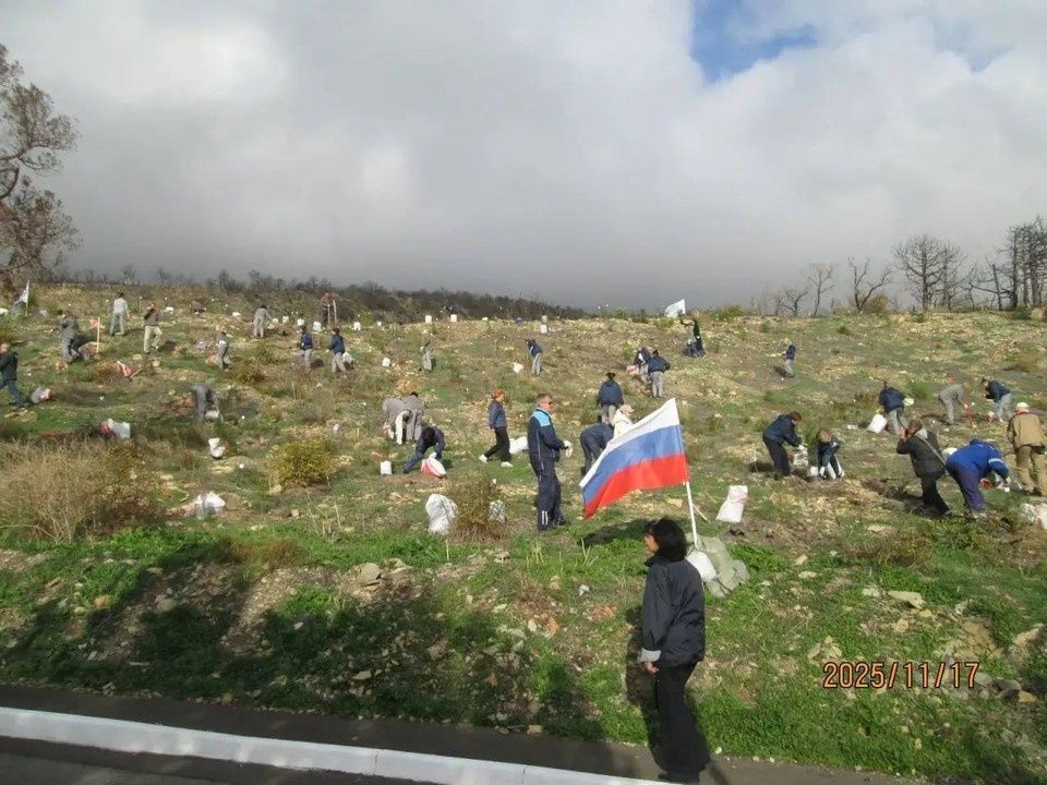 � ���������� ��������� ������������ �������������� ������� ����� ������ �������