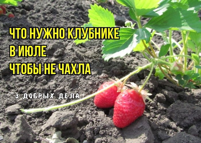 ��� ������ �������� �� ������ ����: ������ ��������� ��� ��������� ������