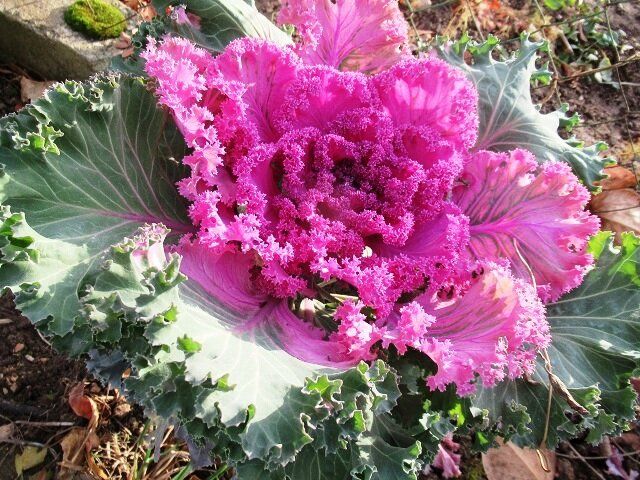 ����� ������� ����������� ������������ ������� ������� �������� ������ �� �����