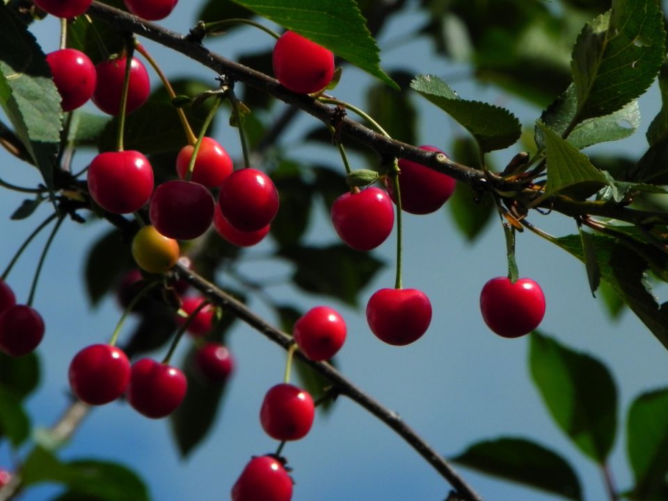 ��� ������ ���������� ����� ��� �������� ������