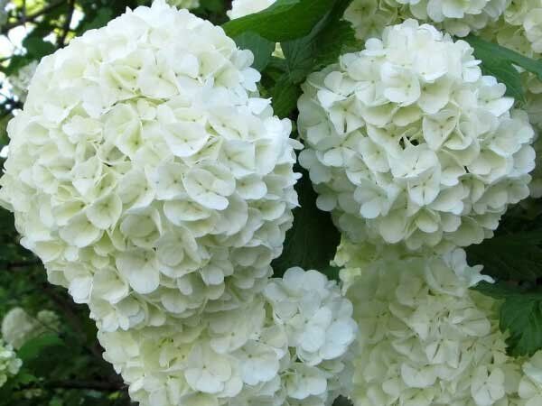 ������ ������ ��������� �������� ������ ����